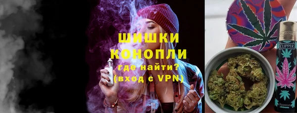 PSILOCYBIN Вязники