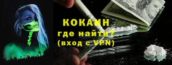 шишки Горнозаводск