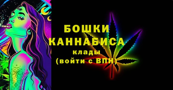 PSILOCYBIN Вязники