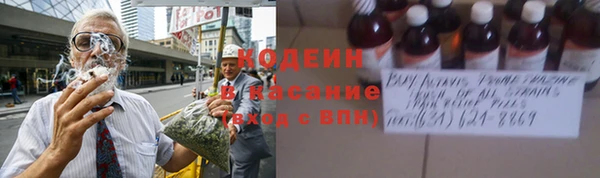 меф Вяземский