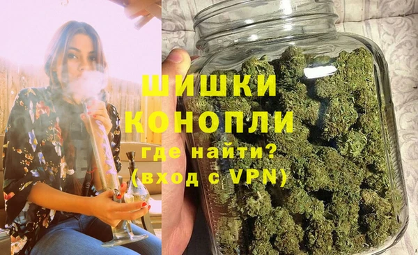 ALPHA PVP Гусев
