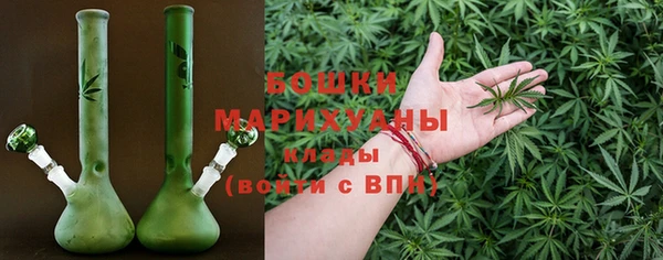 шишки Горнозаводск
