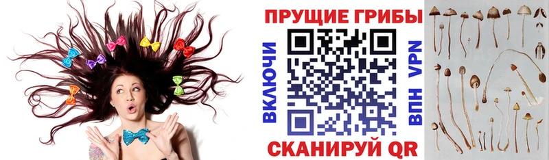 Галлюциногенные грибы Magic Shrooms  Донской 