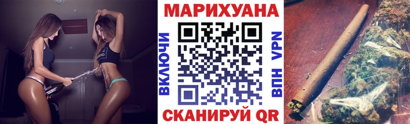 где можно купить   Донской  Конопля гибрид 